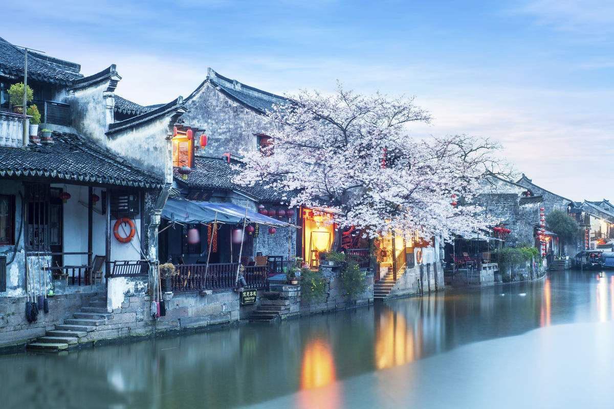 逃离奇幻仙境